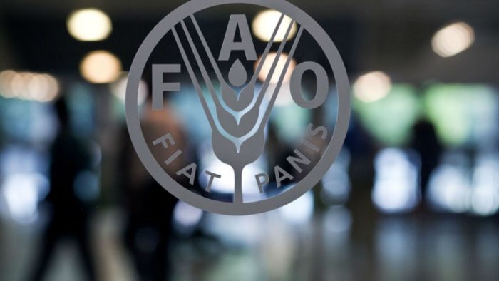 Matières premières alimentaires: Après le pic, l'indice FAO en baisse pour le 9ème mois consécutif